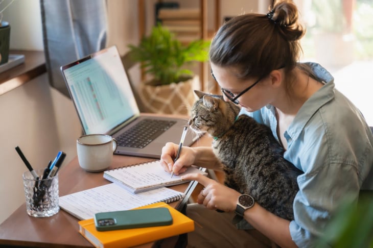 Fidelidade Teletrabalho e gatos ajudam na concentração