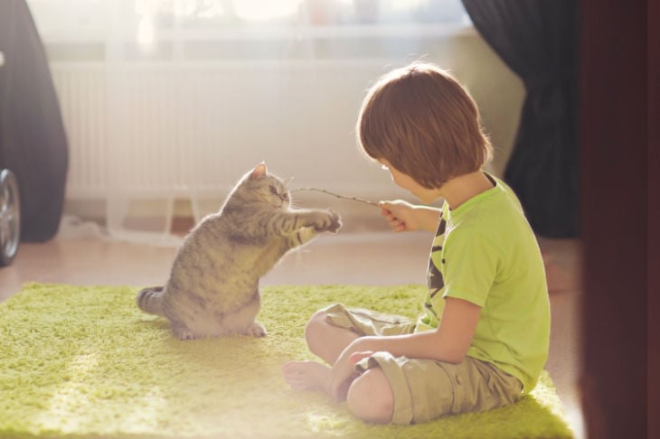 criança a brincar com gato