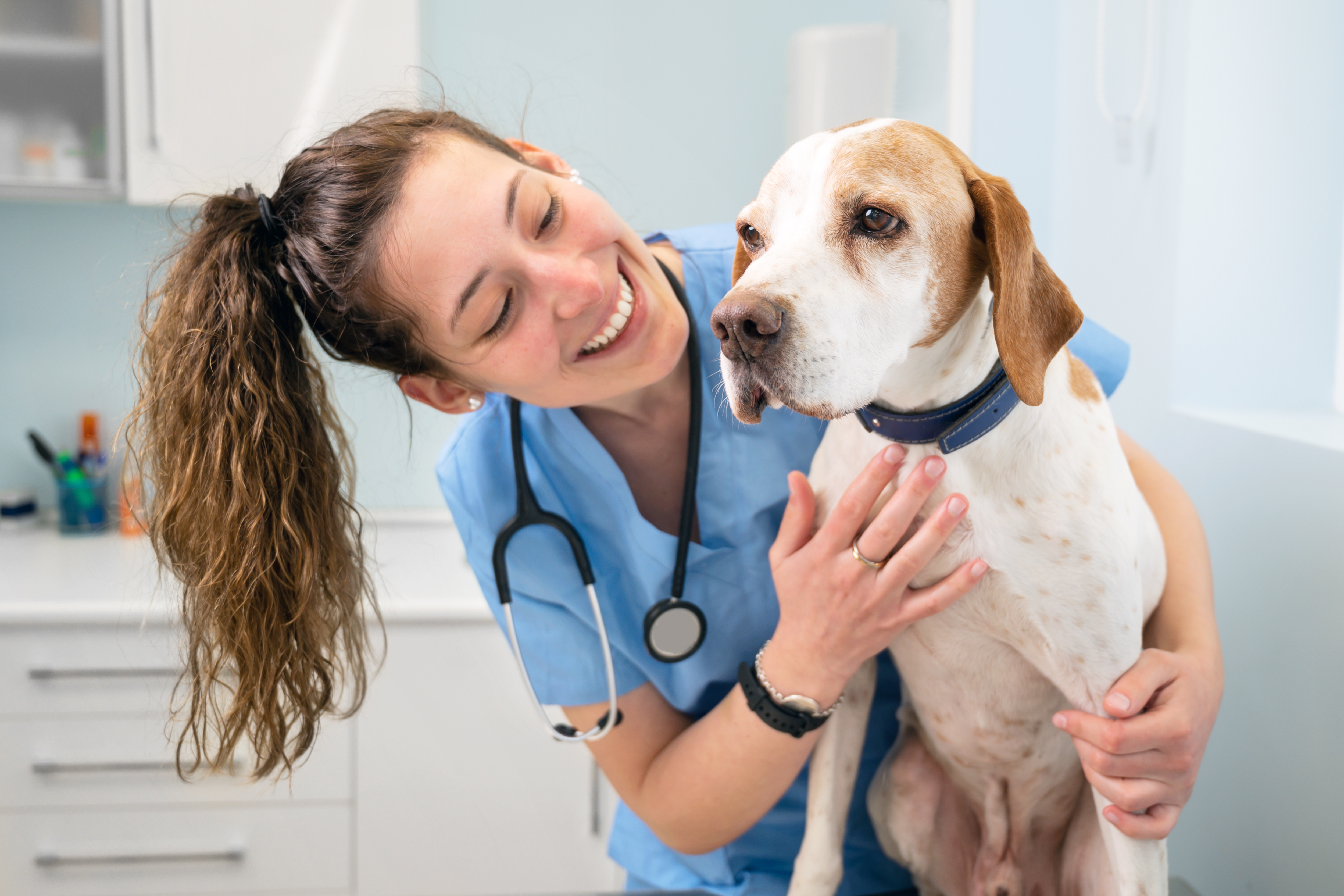 veterinária a abraçar cão
