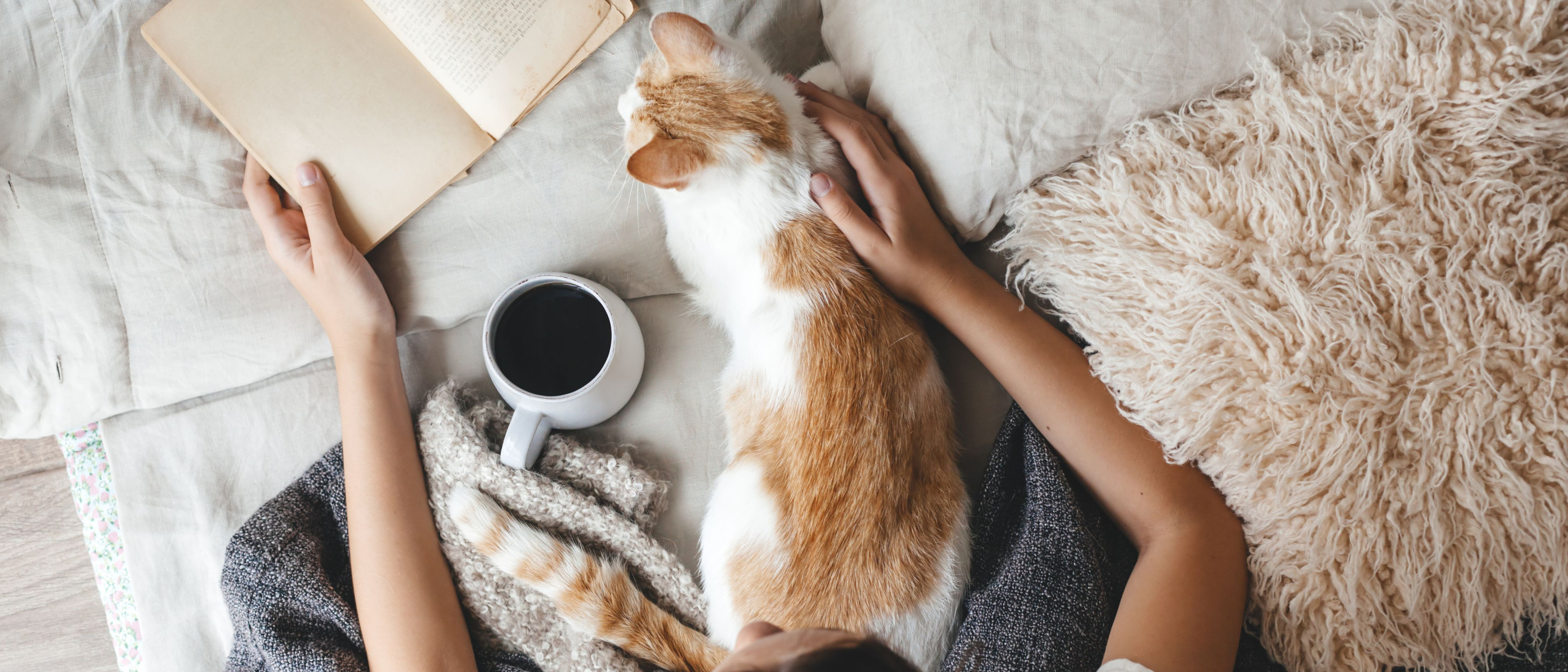 rapariga sentada na cama com gato, chá e um livro