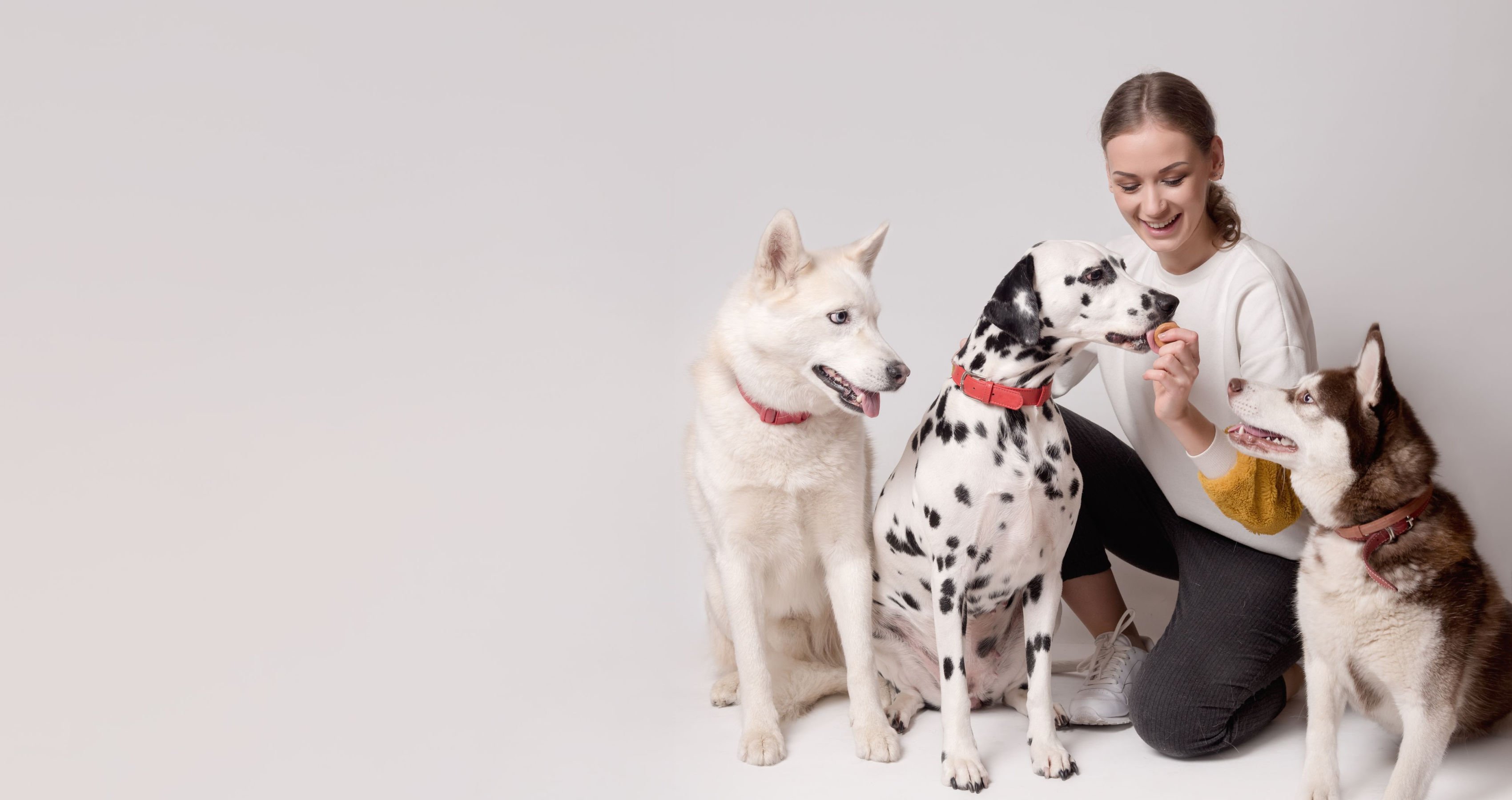 treinadora acompanhada de vários cães