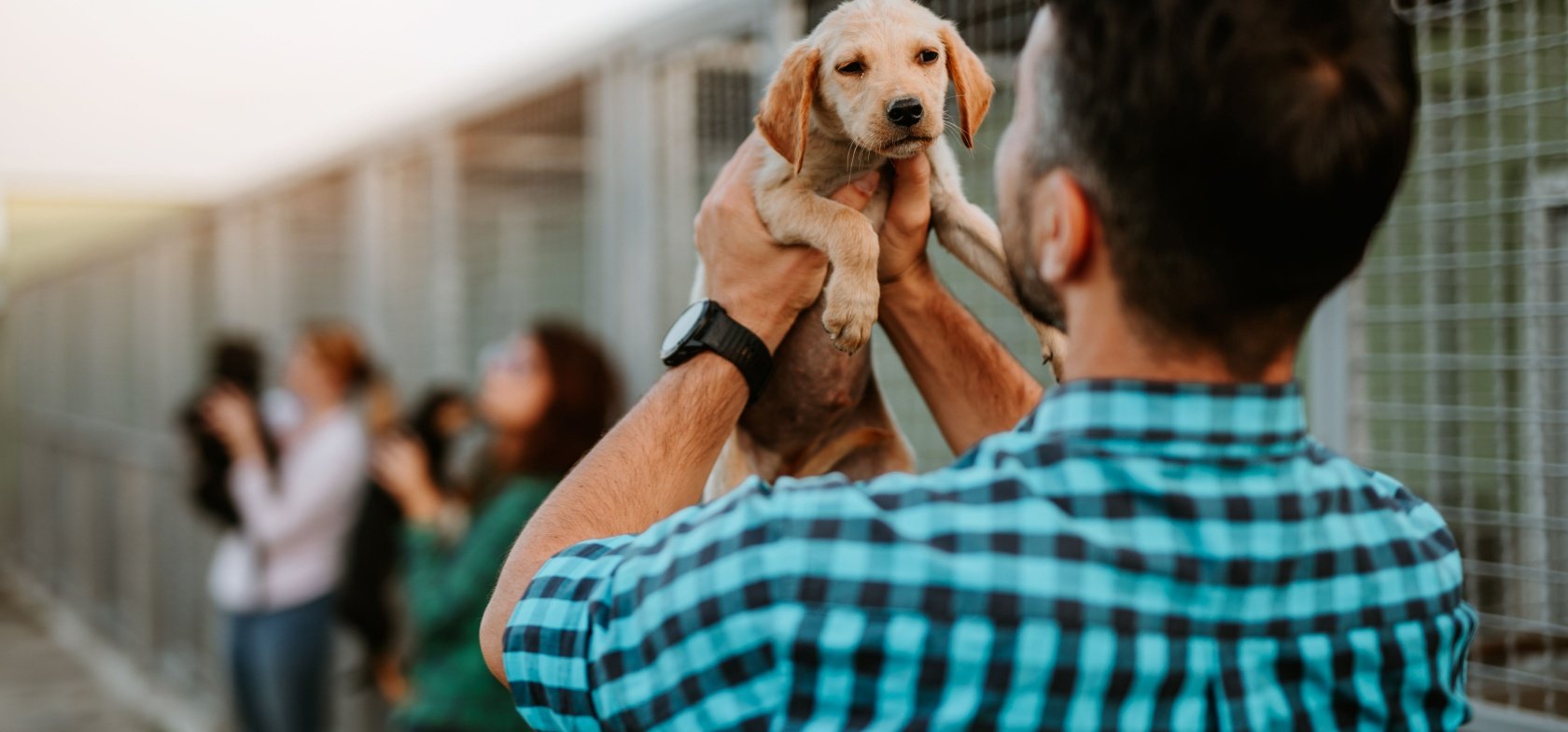 Homem a segurar um cão ao colo num canil durante processo de adoção