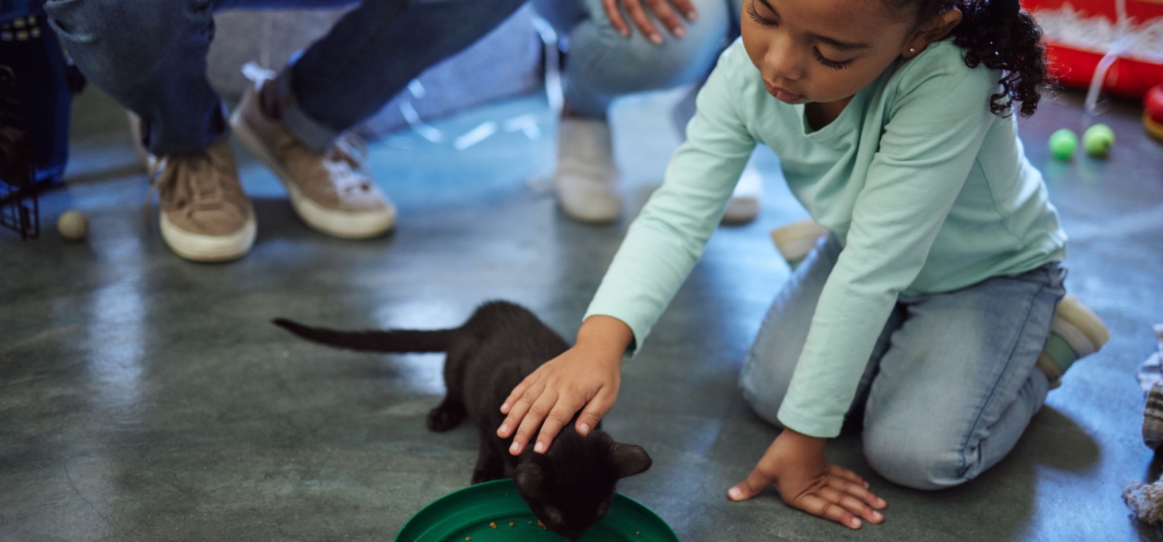 Criança faz festas a um gato enquanto ele come