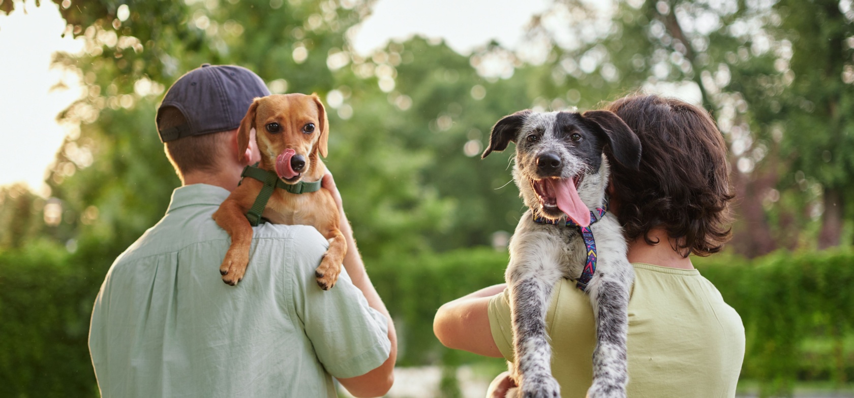 Dois cães ao colo de duas pessoas, simbolizando a ligação emocional entre tutores e animais de estimação e a importância de escolher o nome ideal